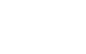 artis-300x188-1.png