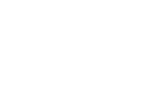 nemo-300x188-1.png
